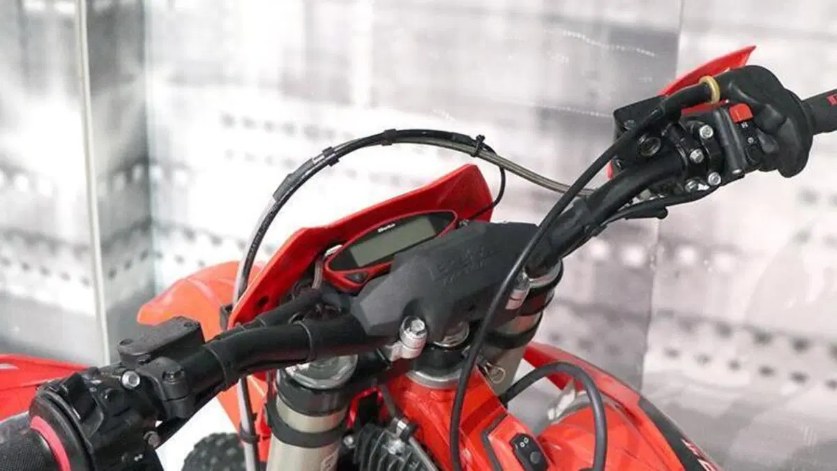 Betamotor RR 350 4T Enduro (2023)  (6)