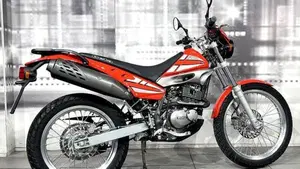 Betamotor Alp 125 (2006)  (7)