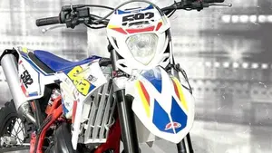 Betamotor RR 300 2T Enduro (2020)  (9)