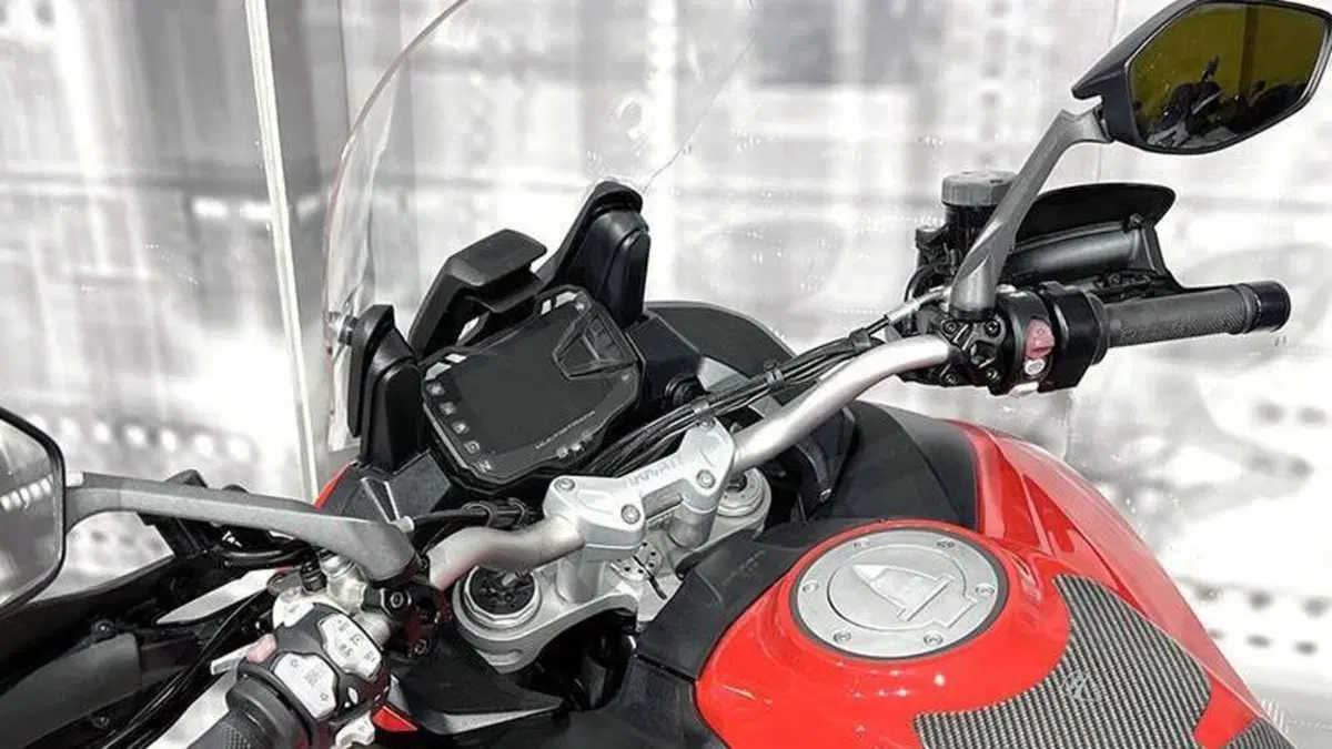 Ducati Multistrada 1260 Enduro (2019 - 21)  (6)