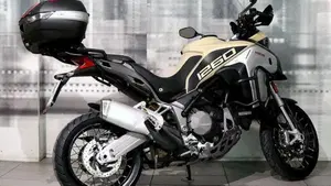 Ducati Multistrada 1260 Enduro (2019 - 21)  (7)