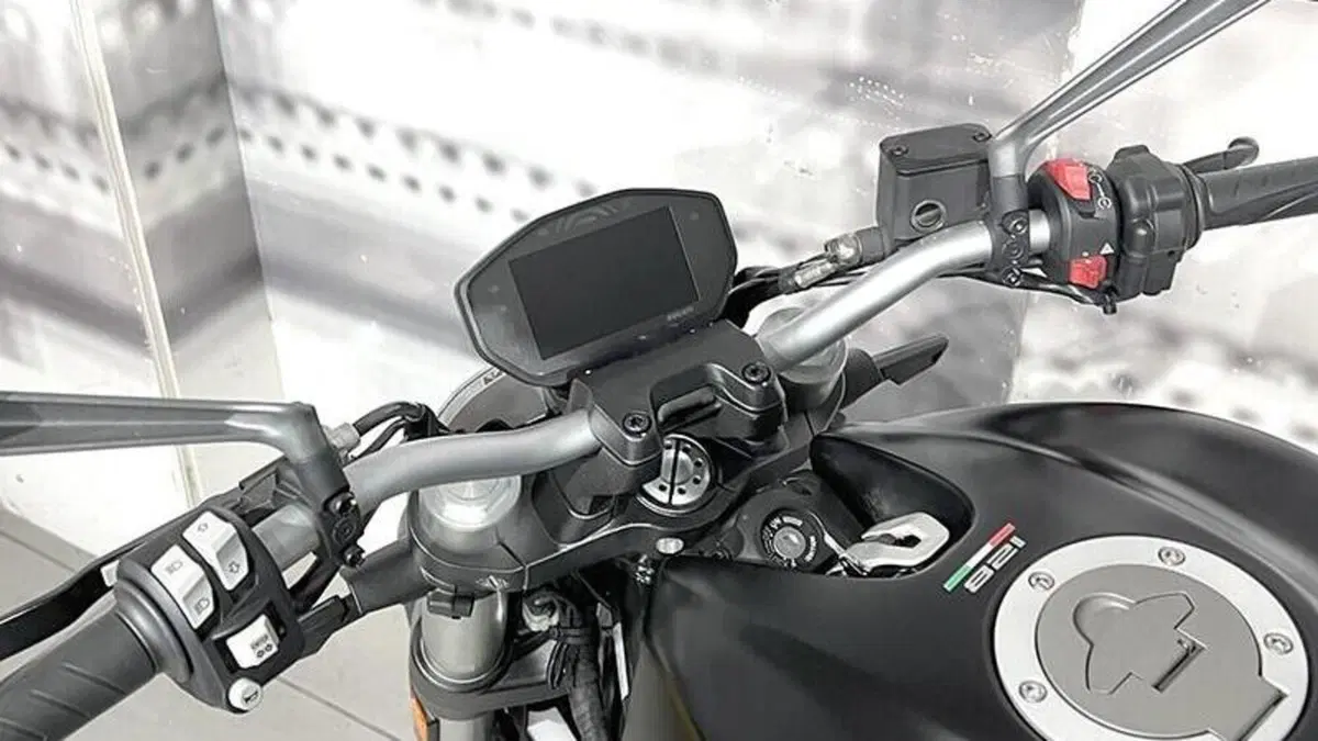 Ducati Monster 821 (2018 - 20)  (6)