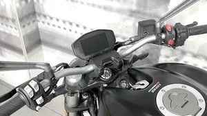 Ducati Monster 821 (2018 - 20)  (6)