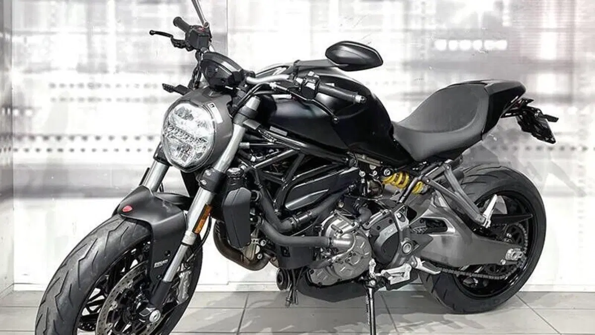 Ducati Monster 821 (2018 - 20)  (7)