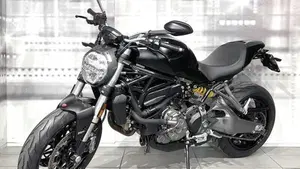 Ducati Monster 821 (2018 - 20)  (7)