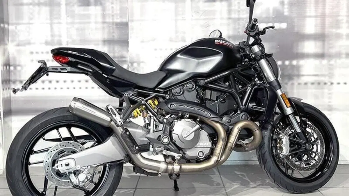 Ducati Monster 821 (2018 - 20)  (8)