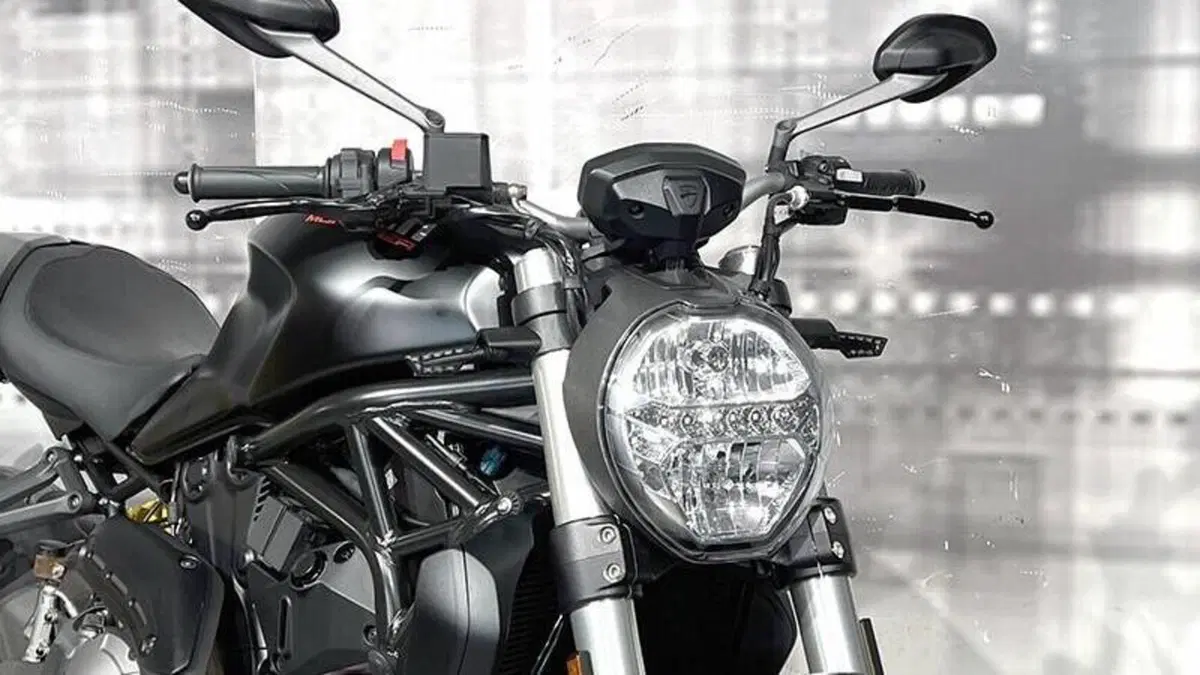 Ducati Monster 821 (2018 - 20)  (9)