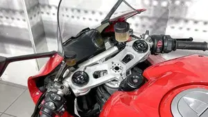 Ducati Panigale V4 1100 (2020)  (6)