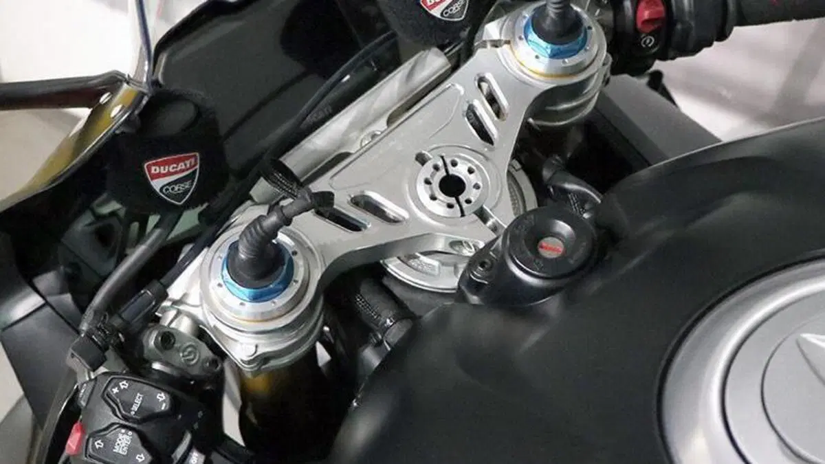 Ducati Panigale V4 1100 (2021)  (6)