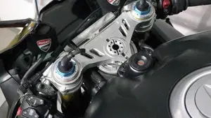 Ducati Panigale V4 1100 (2021)  (6)