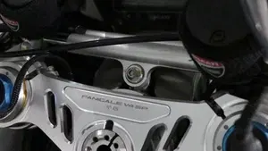 Ducati Panigale V4 1100 (2021)  (9)