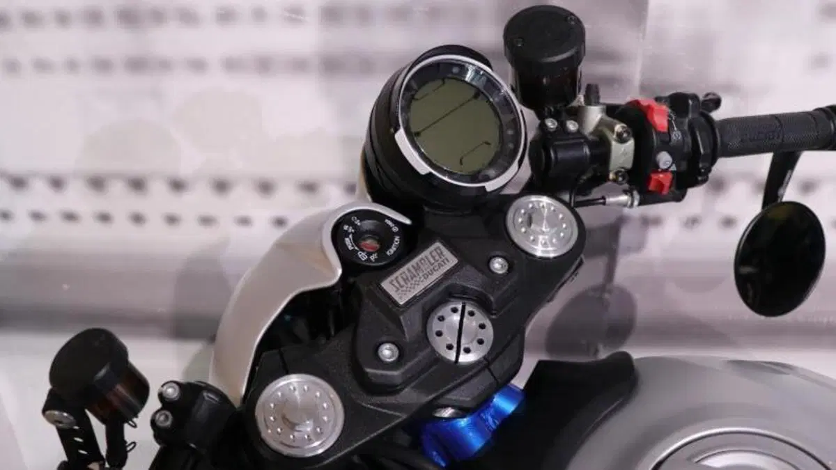 Ducati Scrambler 800 Icon (2017 - 20)  (6)
