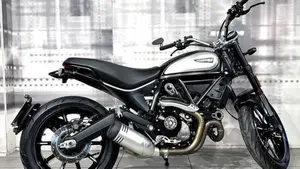 Ducati Scrambler 800 Icon (2021 - 22)  (8)