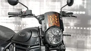 Ducati Scrambler 800 Icon (2017 - 20)  (9)