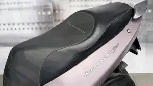 Aprilia Leonardo 300 ST  (6)
