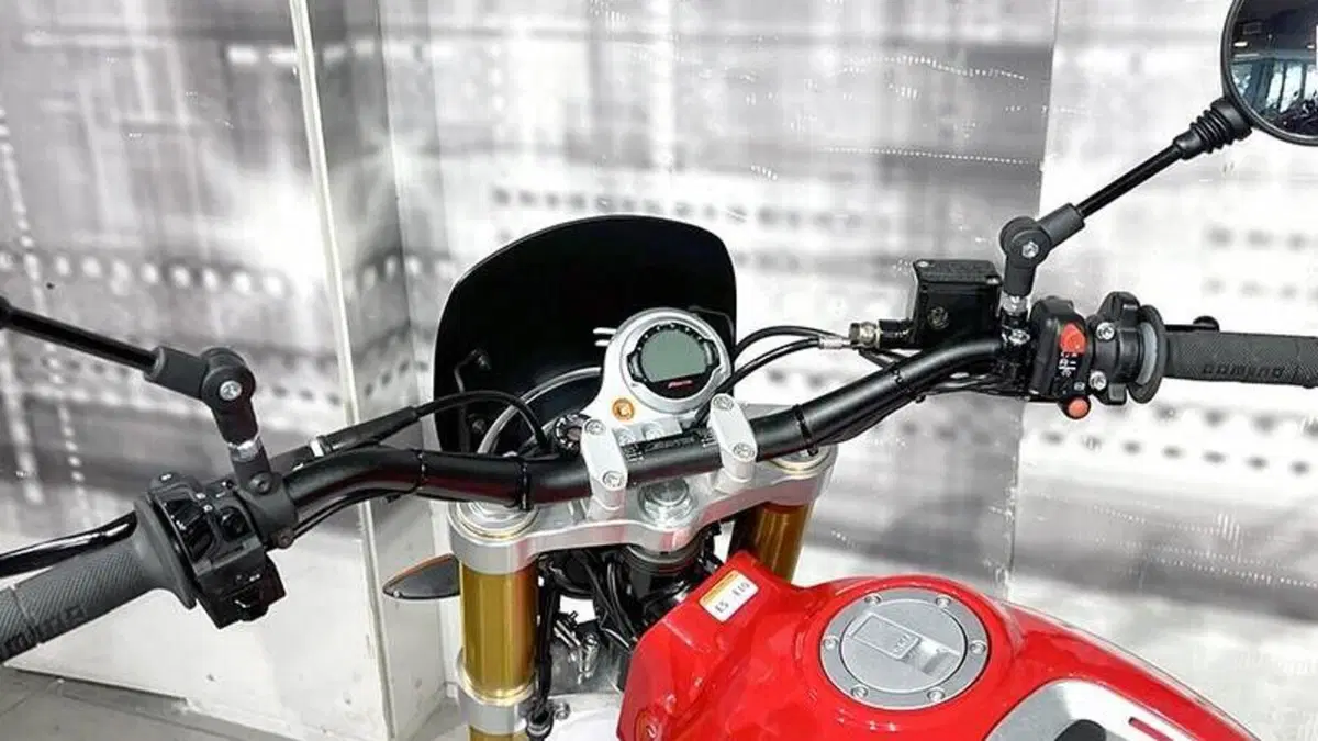 Fantic Motor Caballero 500 Scrambler (2021 - 23)  (6)