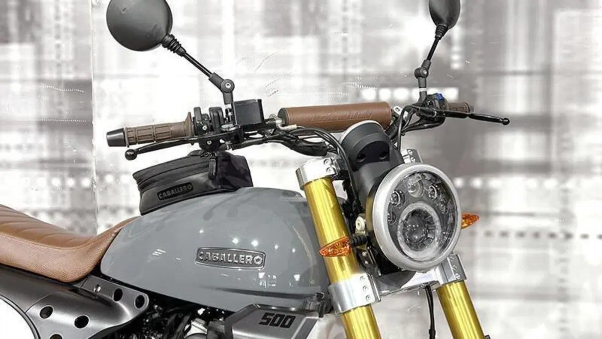Fantic Motor Caballero 500 Rally (2021 - 23)  (9)