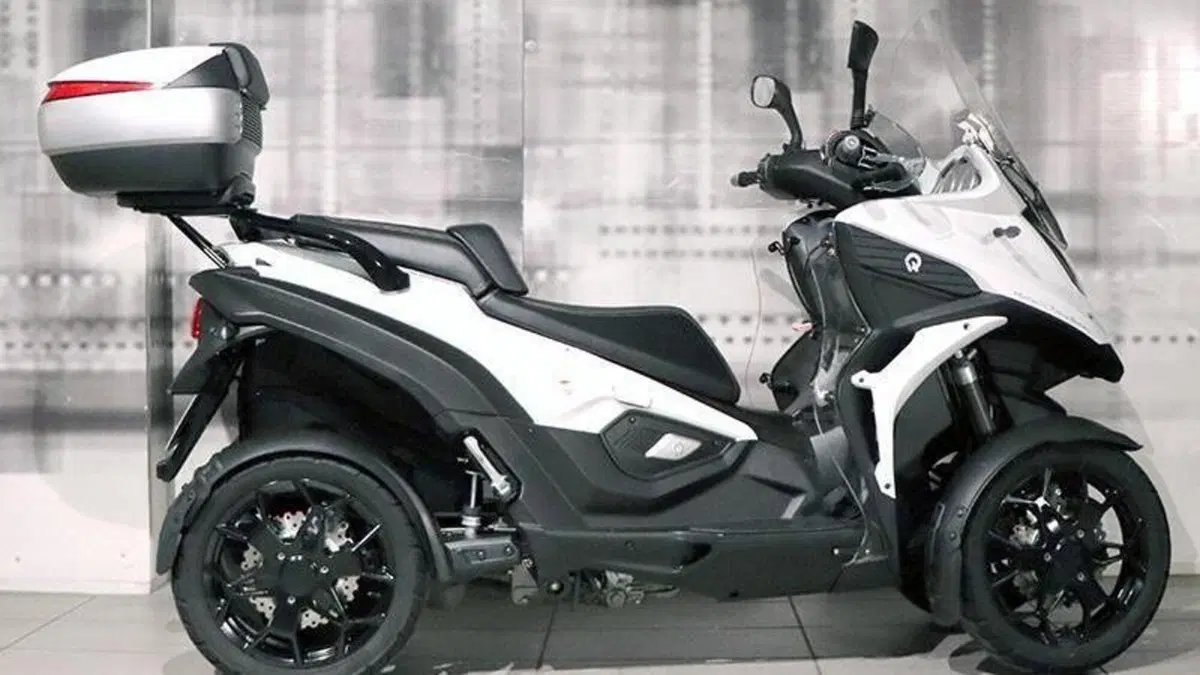 Quadro Quadro 4 (2015 - 17)  (8)