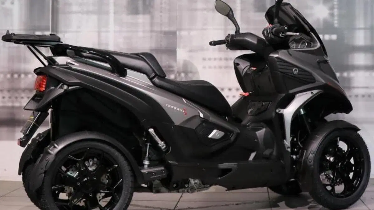 Quadro Quadro 4 (2015 - 17)  (8)