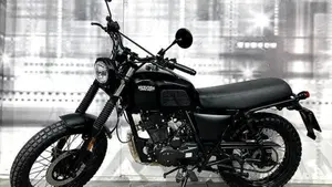 Brixton Motorcycles Felsberg 125 (2019 - 20)  (7)