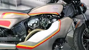 Indian Scout 1133 (2017 - 19)  (9)