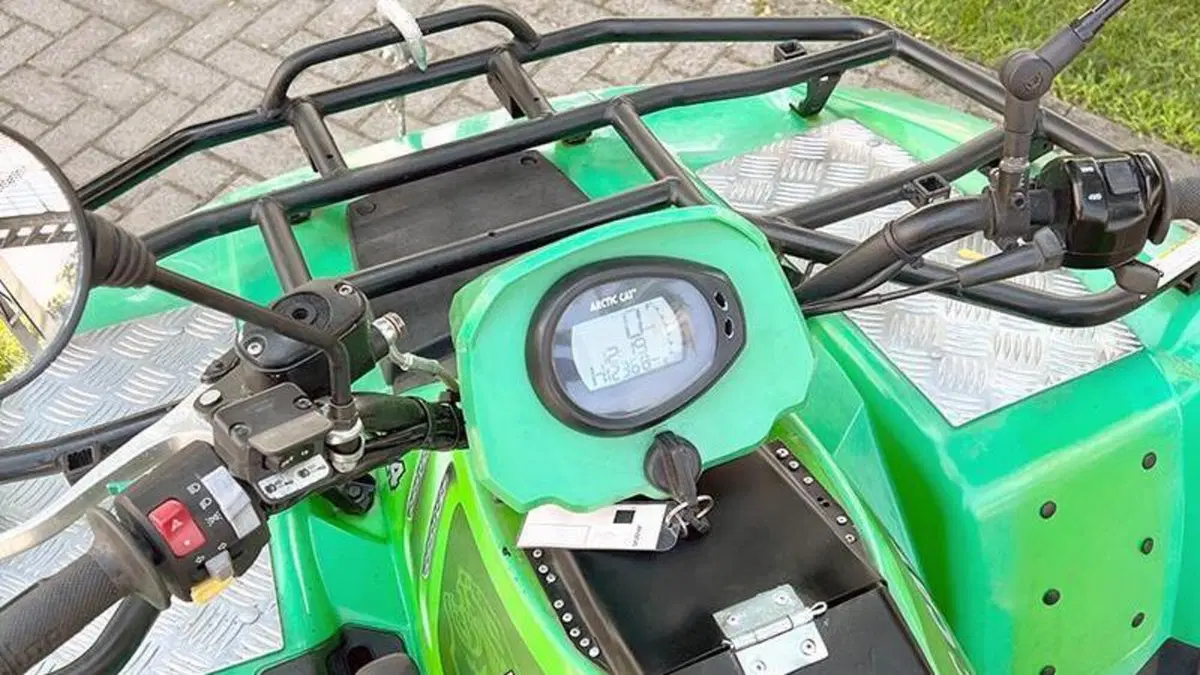 Arctic Cat 650 H1  (6)