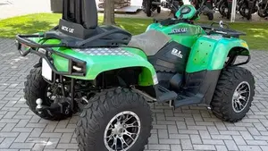 Arctic Cat 650 H1  (8)