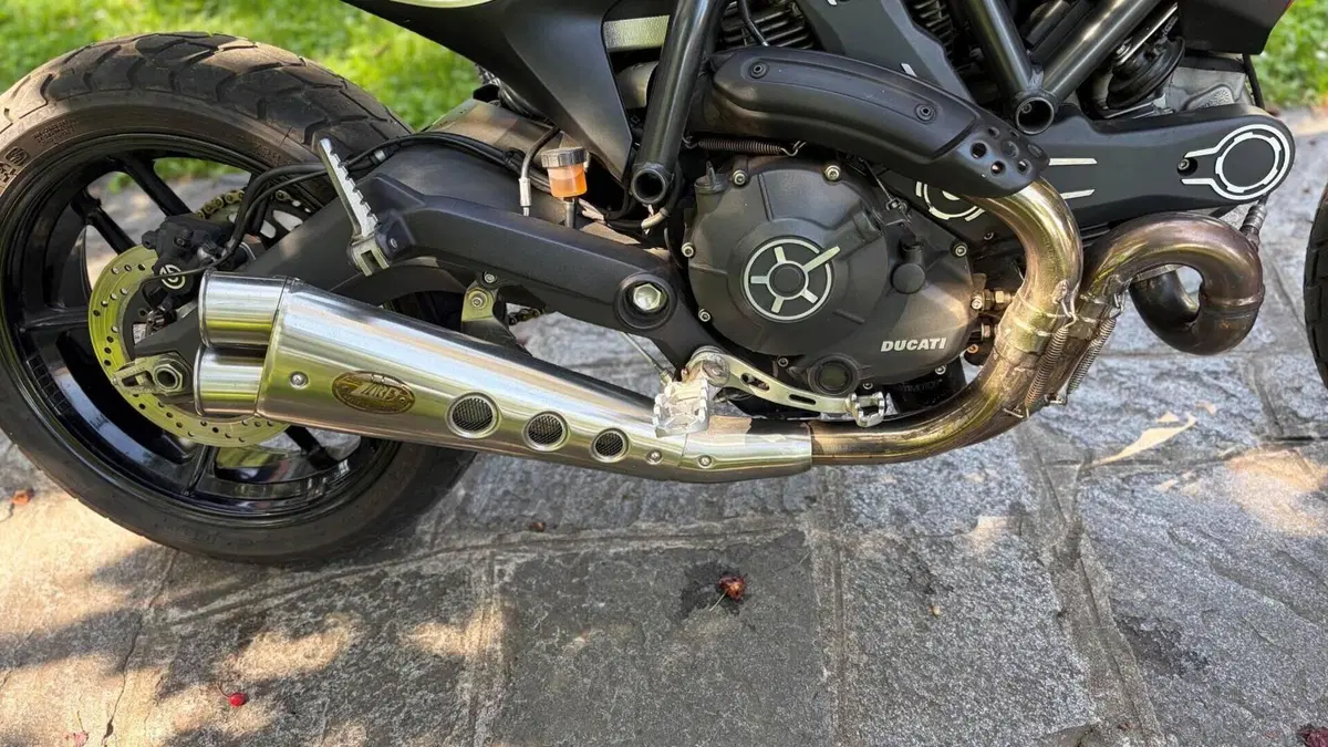 Ducati Scrambler 800 Icon (2015 - 16)  (6)