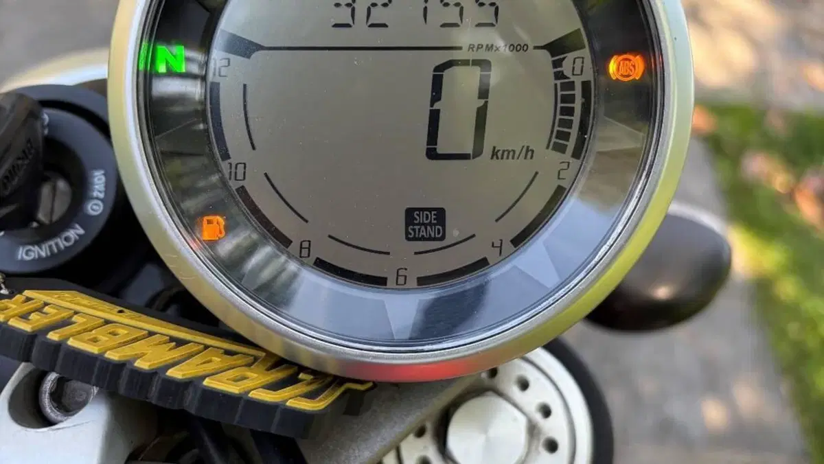 Ducati Scrambler 800 Icon (2015 - 16)  (8)