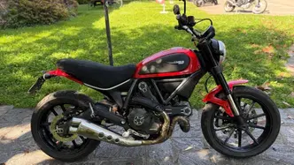 Ducati Scrambler 800 Icon (2015 - 16) usata