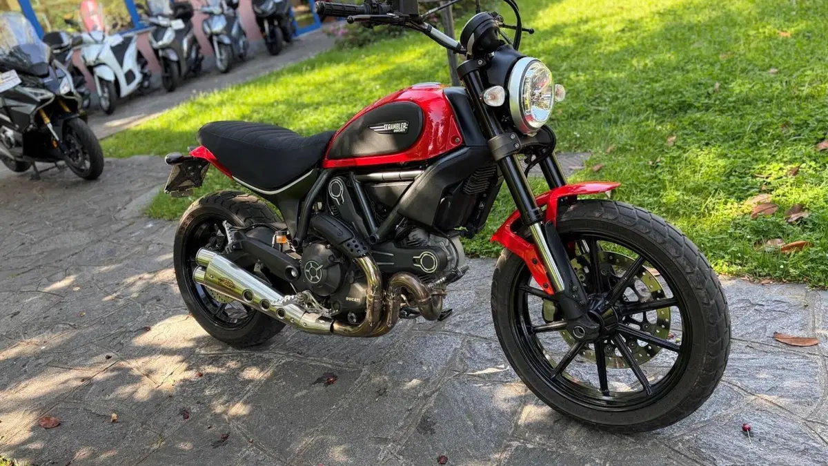 Ducati Scrambler 800 Icon (2015 - 16)  (2)