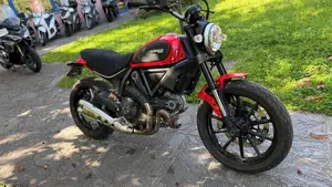 Ducati Scrambler 800 Icon (2015 - 16)  (2)