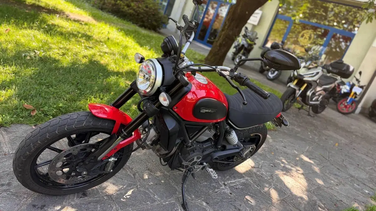 Ducati Scrambler 800 Icon (2015 - 16)  (4)
