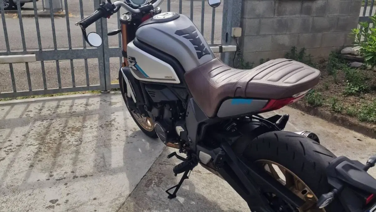 CFMOTO 700CL-X Heritage (2021 - 26)  (5)