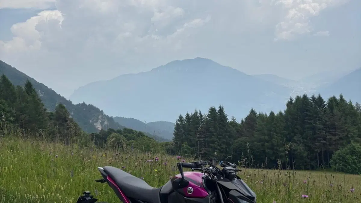 Yamaha MT-09 (2017 - 20)  (3)