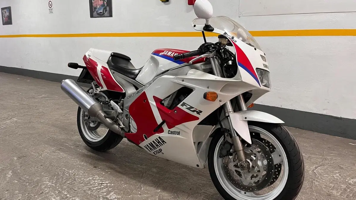 Yamaha FZR 1000 Exup (1991 - 93)  (10)
