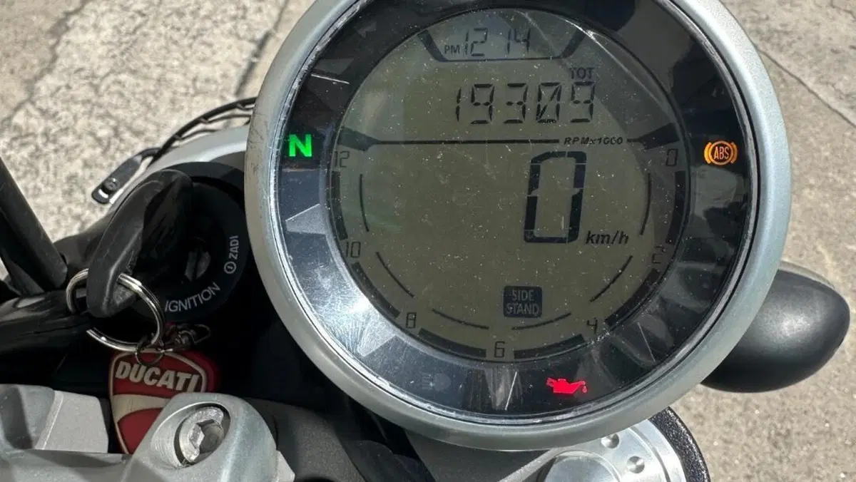 Ducati Scrambler 800 Desert Sled (2017 - 20)  (5)