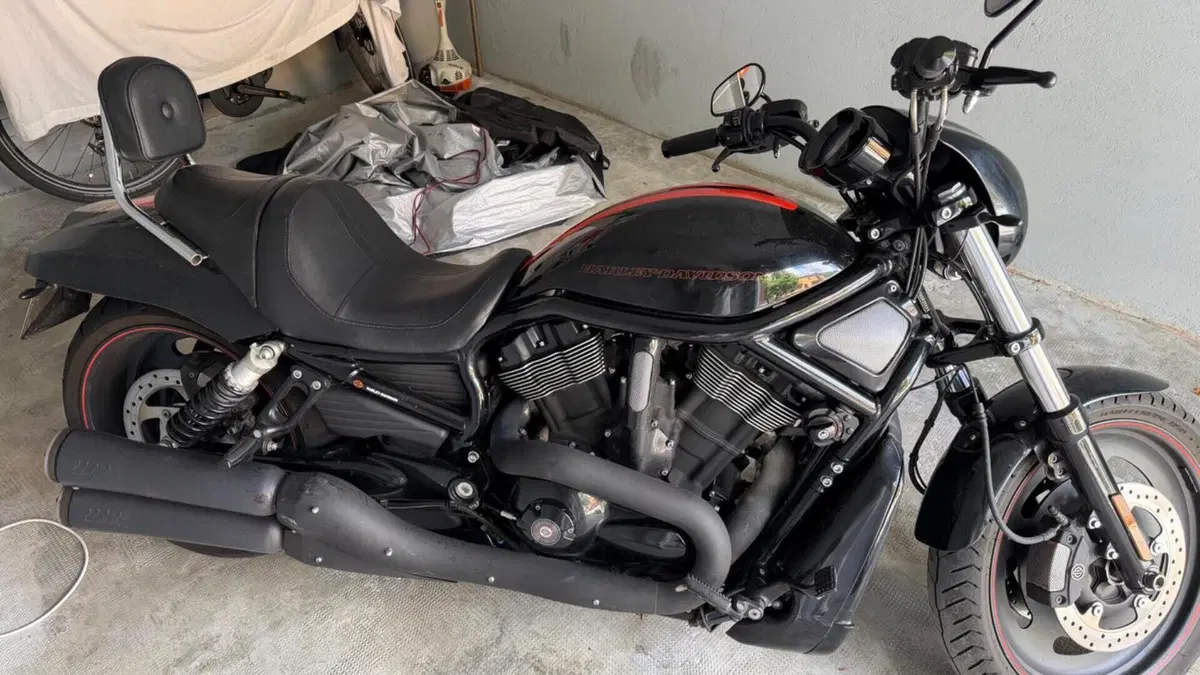 Harley-Davidson 1250 Night Rod Special (2008 - 17) - VRSCDX  (7)