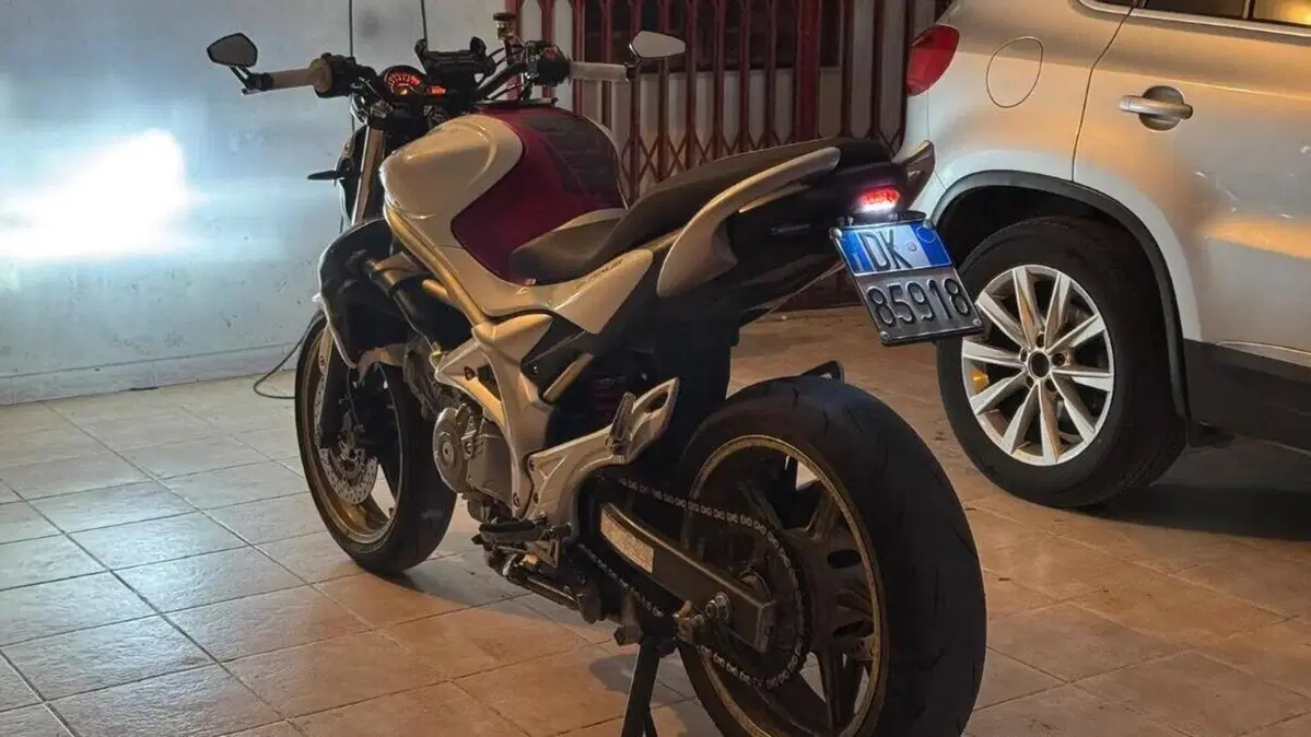 Suzuki Gladius 650 SFV (2009 - 15) 