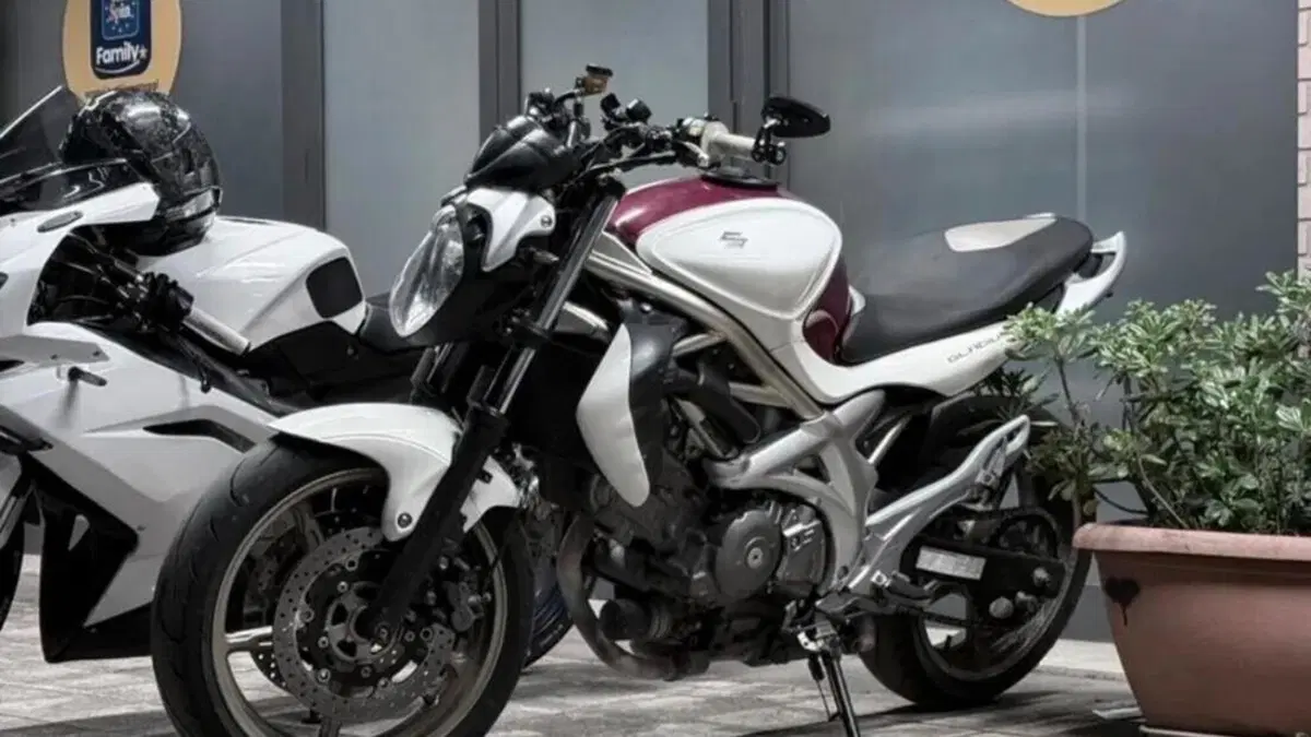 Suzuki Gladius 650 SFV (2009 - 15)  (3)