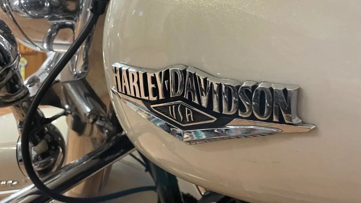 Harley-Davidson 103 Road King Classic (2014 - 16) - FLHRC  (19)