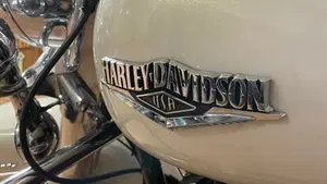 Harley-Davidson 103 Road King Classic (2014 - 16) - FLHRC  (19)