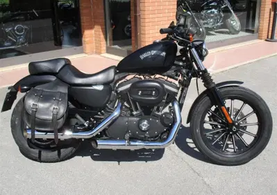 Harley-Davidson 883 Iron (2012 - 14) - XL 883N - Annuncio 10021424
