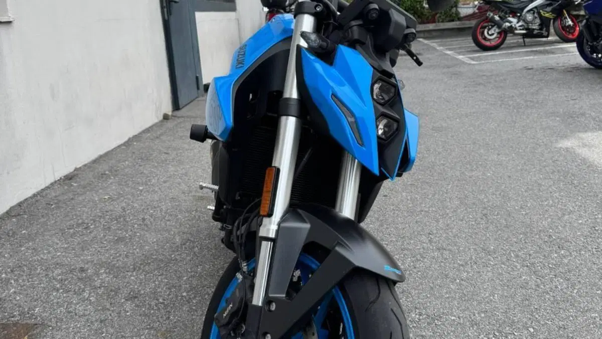 Suzuki GSX-8S (2023 - 24) 