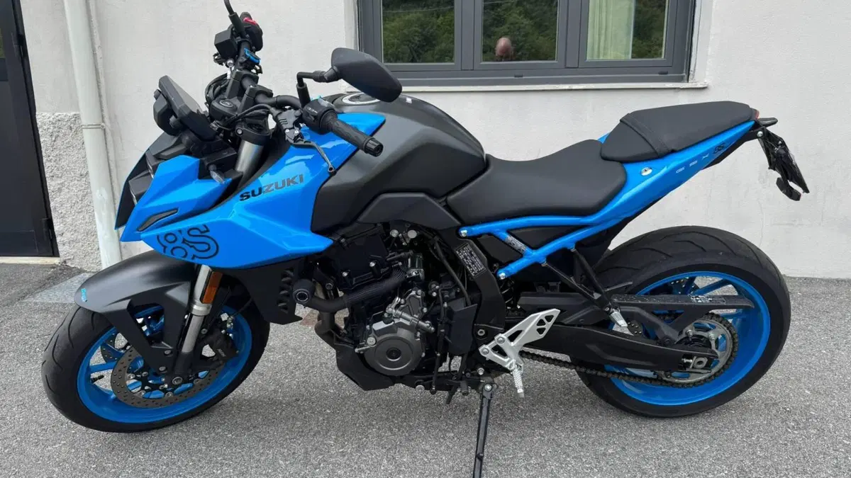 Suzuki GSX-8S (2023 - 24)  (2)