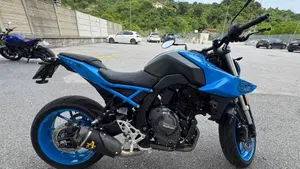 Suzuki GSX-8S (2023 - 24)  (3)