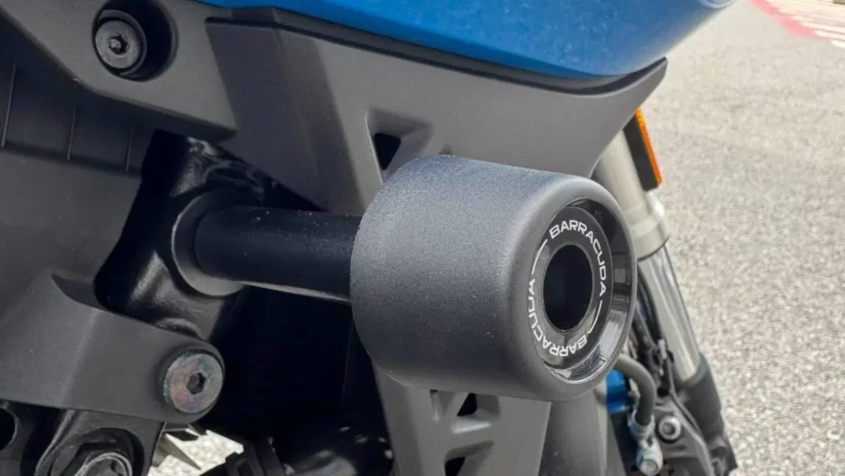 Suzuki GSX-8S (2023 - 24)  (7)