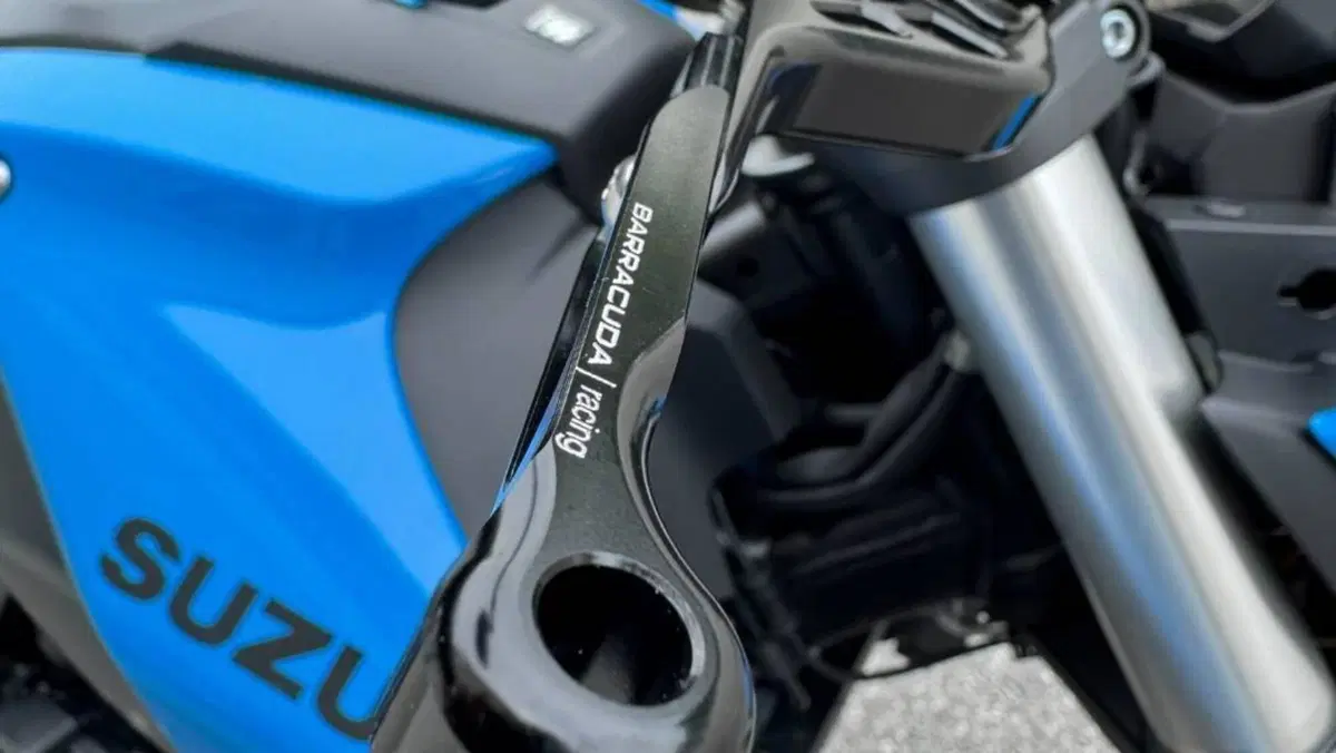 Suzuki GSX-8S (2023 - 24)  (8)