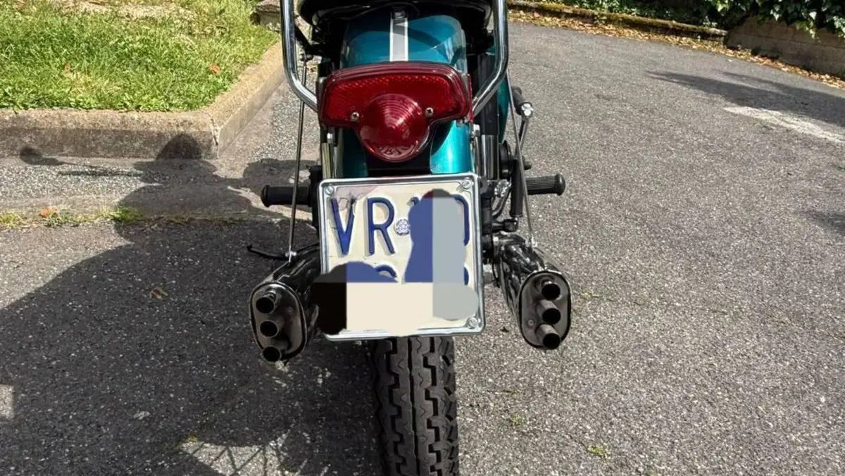 Triumph   (5)