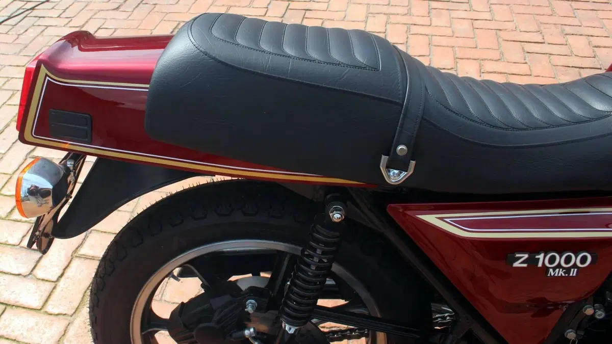 Kawasaki   (18)